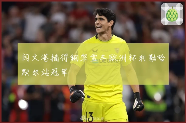 闫文港摘得钢架雪车欧洲杯利勒哈默尔站冠军