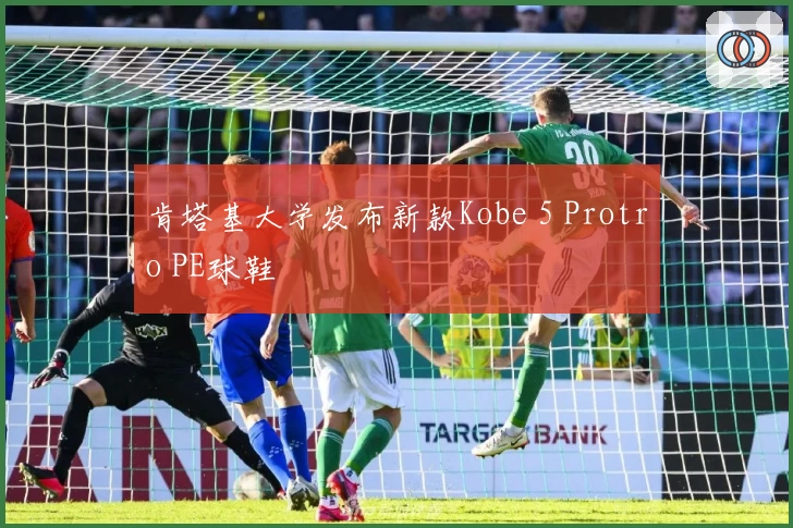 肯塔基大学发布新款Kobe 5 Protro PE球鞋